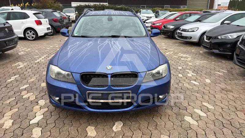 2010 BMW 318