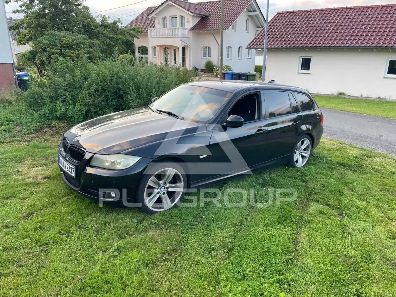 2010 BMW 318