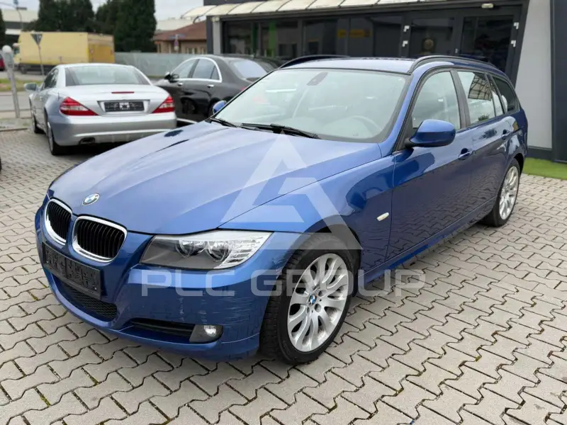 2010 BMW 318