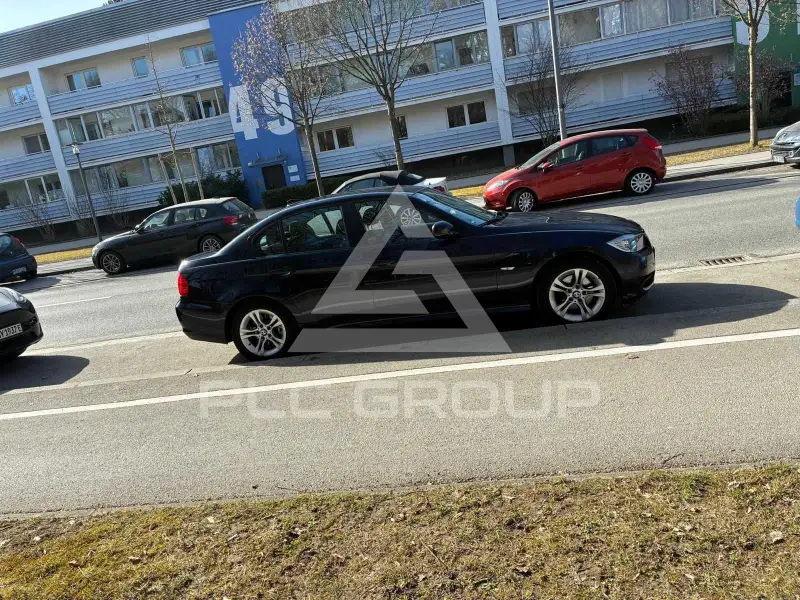 2010 BMW 318