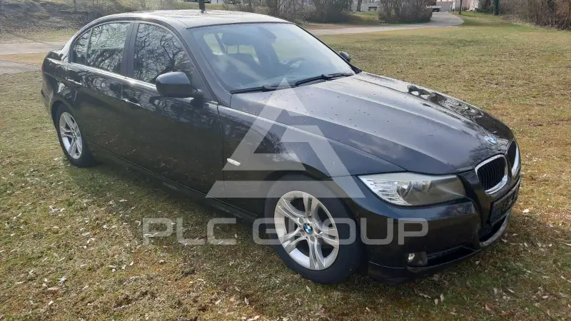 2010 BMW 318