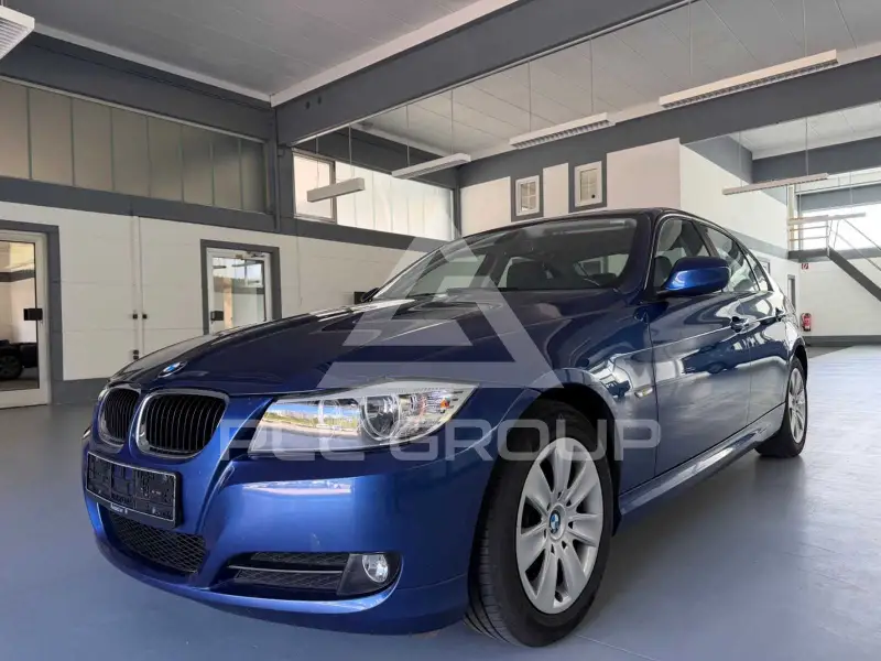 2010 BMW 318