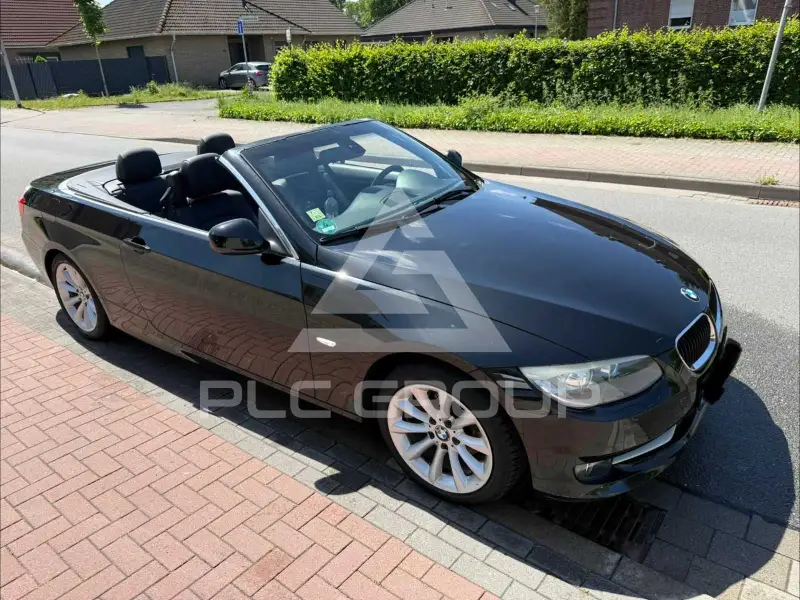 2010 BMW 318