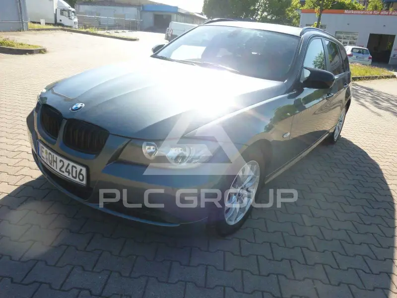2010 BMW 318