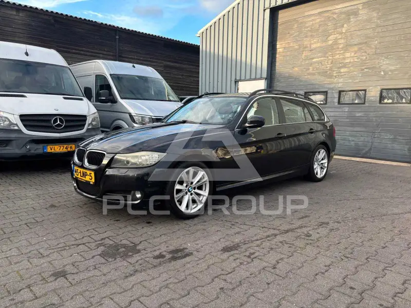 2010 BMW 318