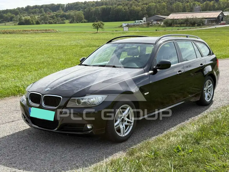 2010 BMW 318