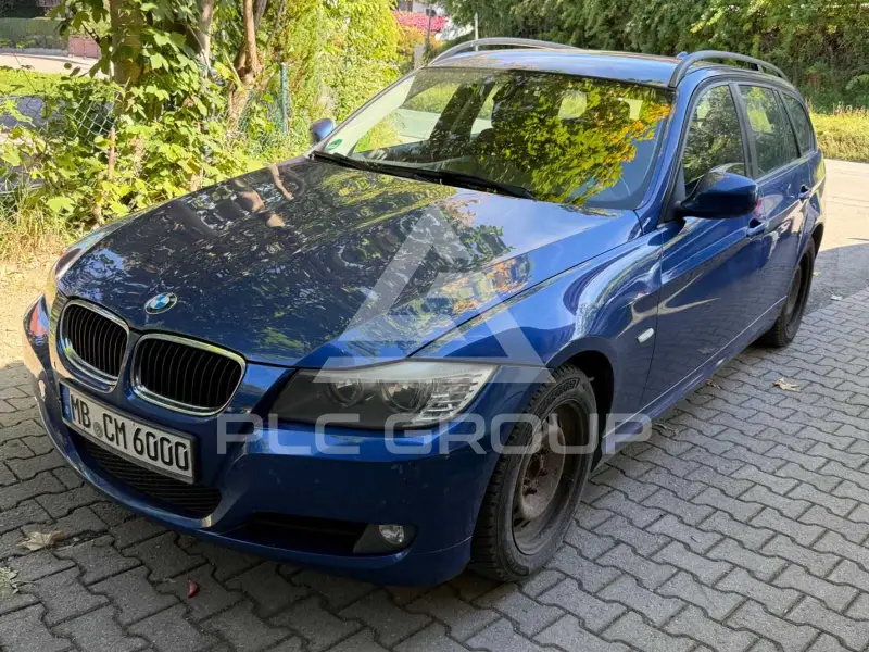 2010 BMW 318