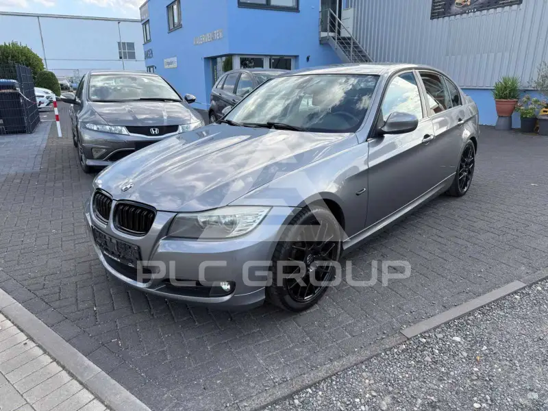2010 BMW 318