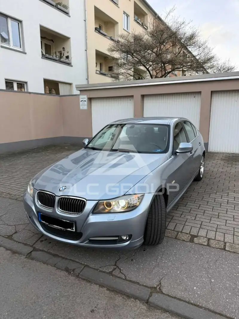 2010 BMW 318