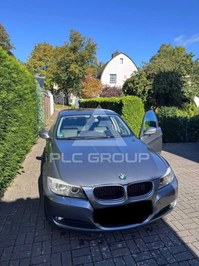 2010 BMW 318