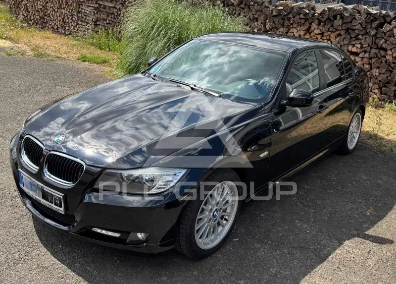 2010 BMW 318
