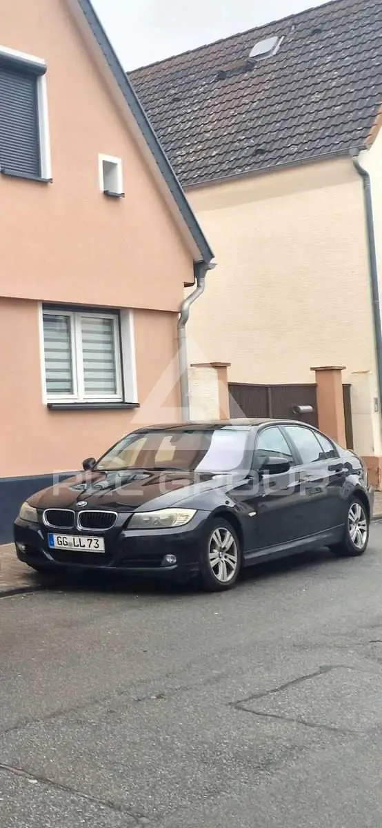 2010 BMW 318