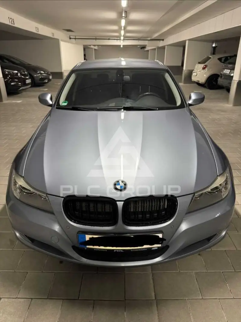 2010 BMW 318