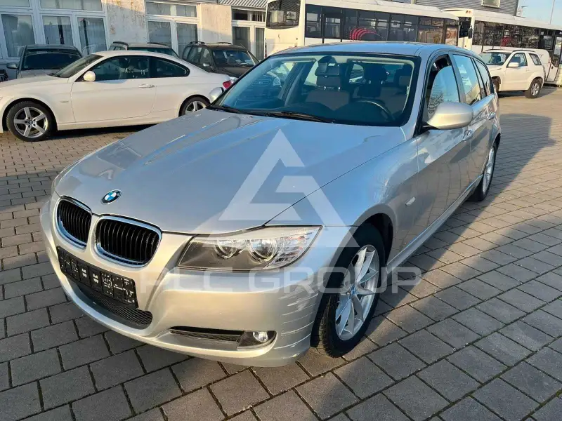 2010 BMW 318