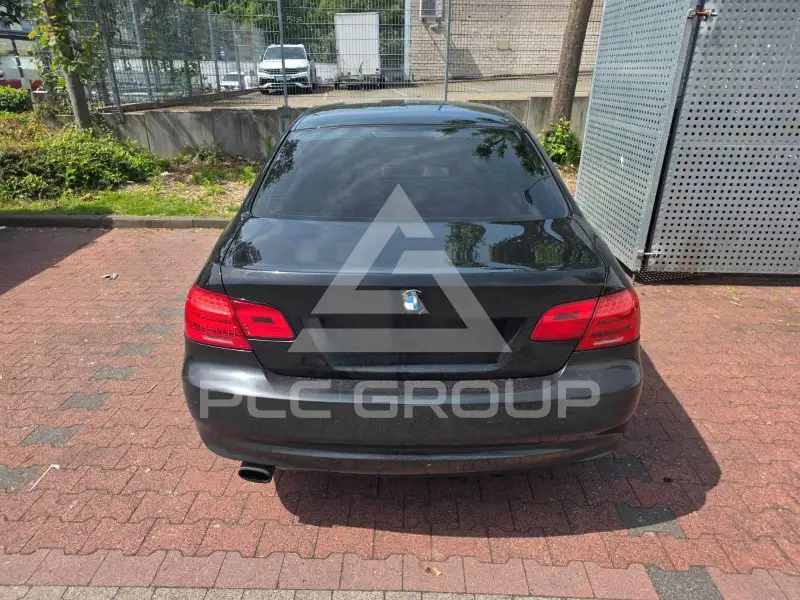 2010 BMW 318