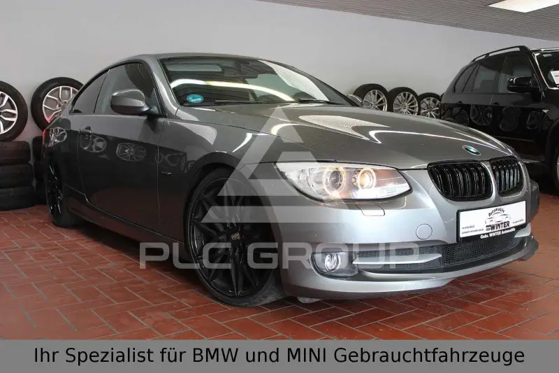2010 BMW 318