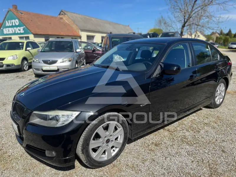 2010 BMW 318