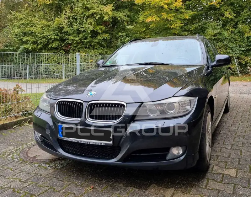 2010 BMW 318