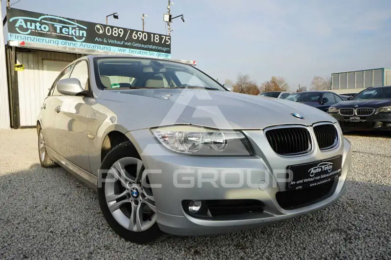 2010 BMW 318