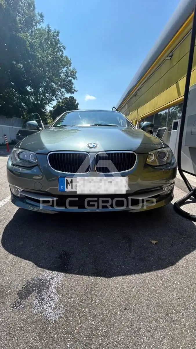 2010 BMW 318