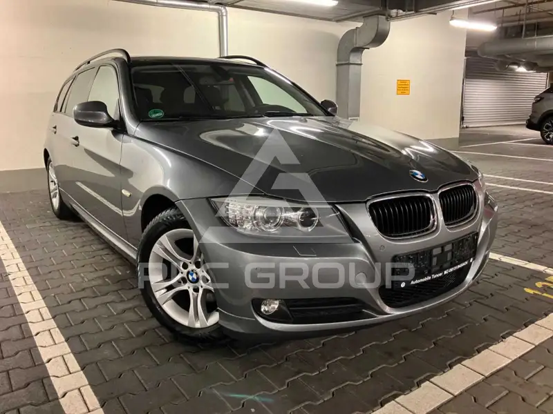 2010 BMW 318