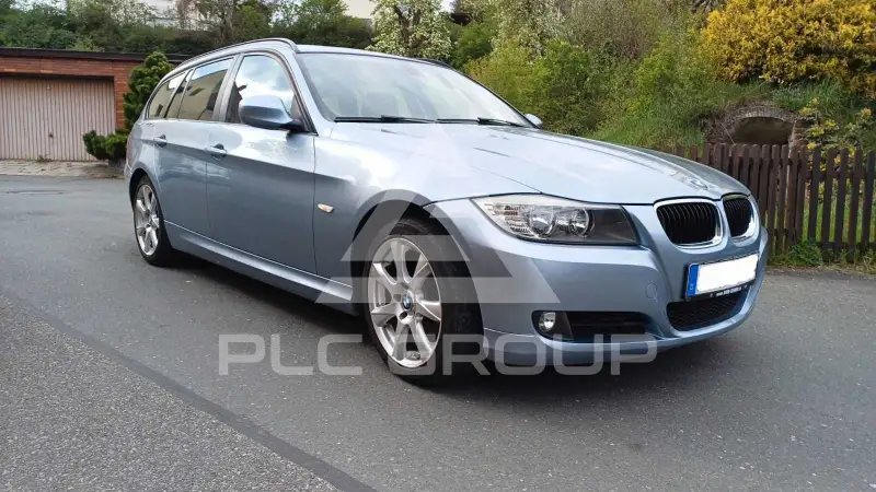 2010 BMW 318