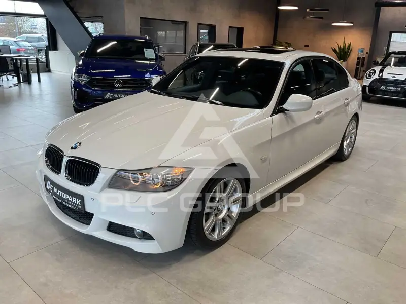 2010 BMW 318