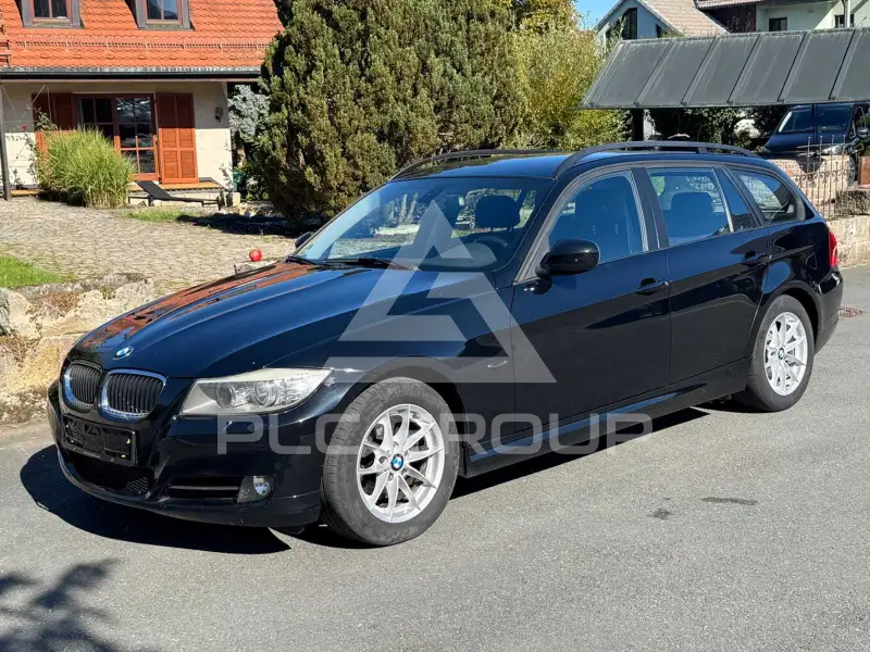 2010 BMW 318