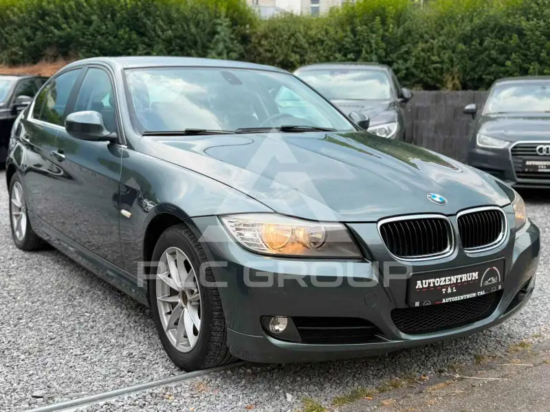 2010 BMW 318