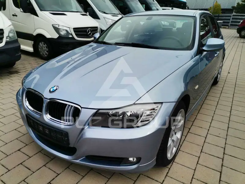2010 BMW 318