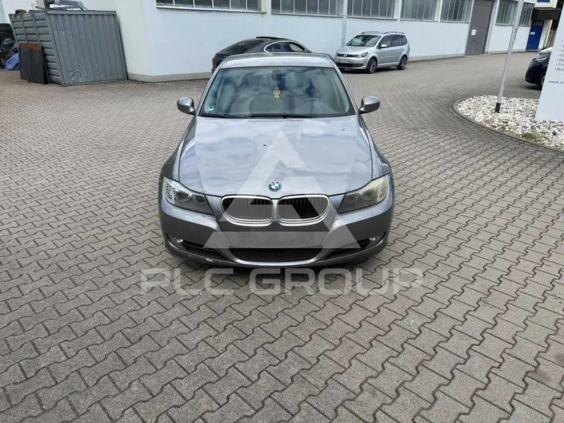 2010 BMW 318