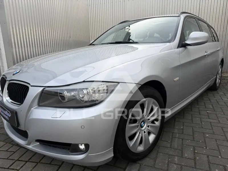 2010 BMW 318