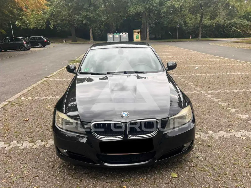 2010 BMW 318