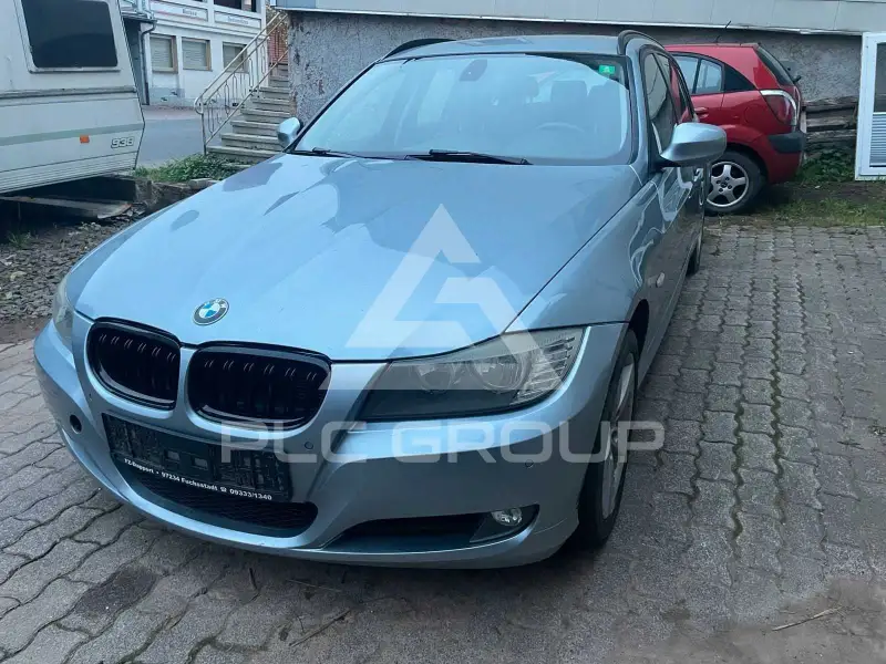 2010 BMW 318