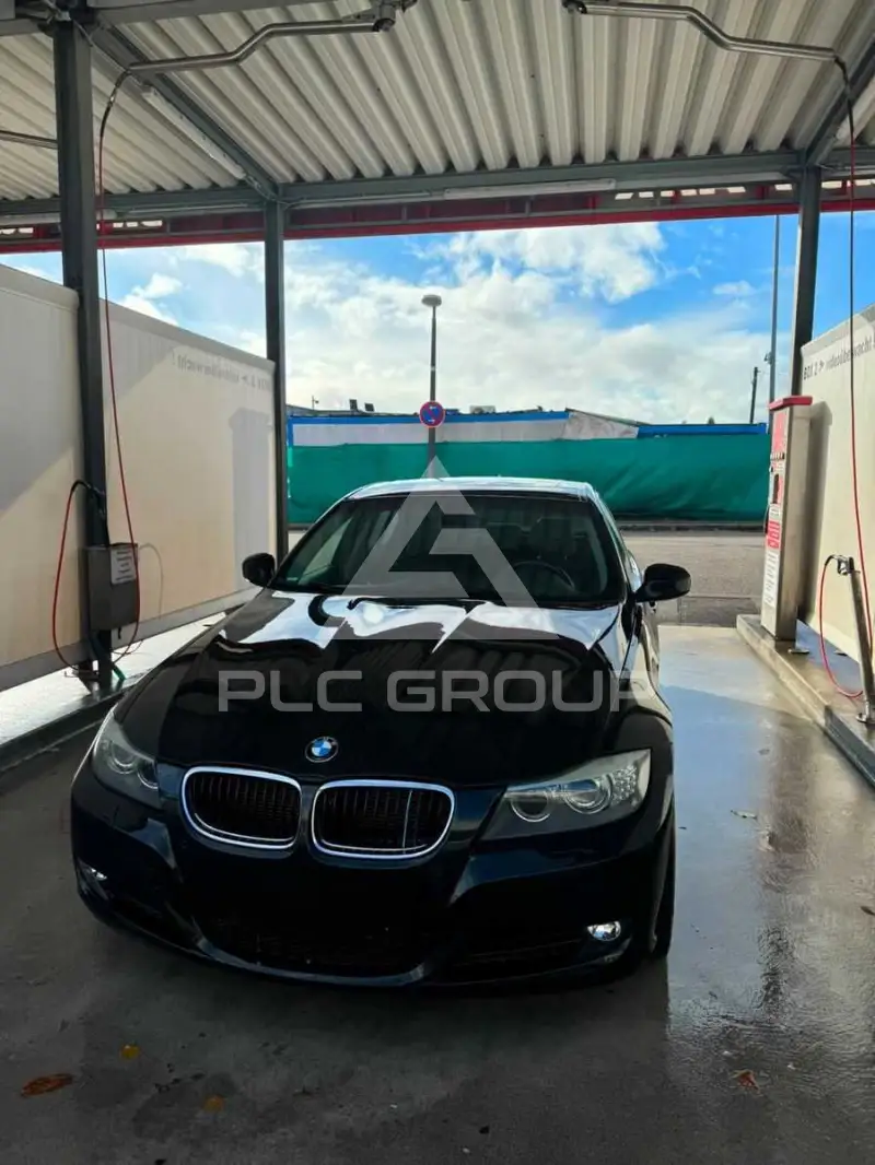 2010 BMW 318