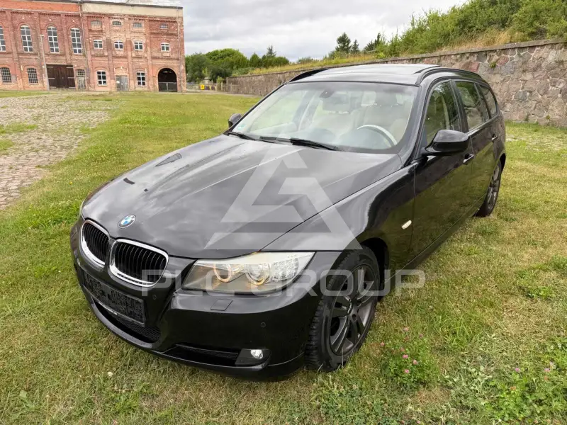 2010 BMW 318