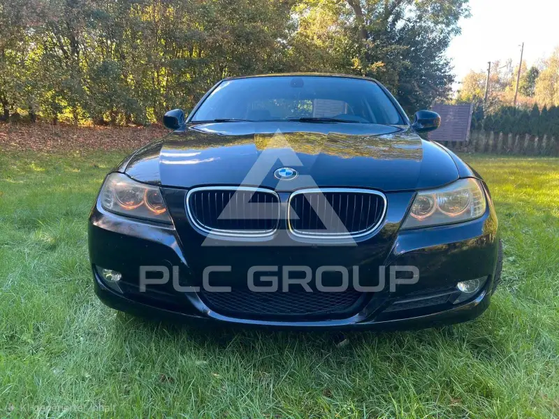2010 BMW 318
