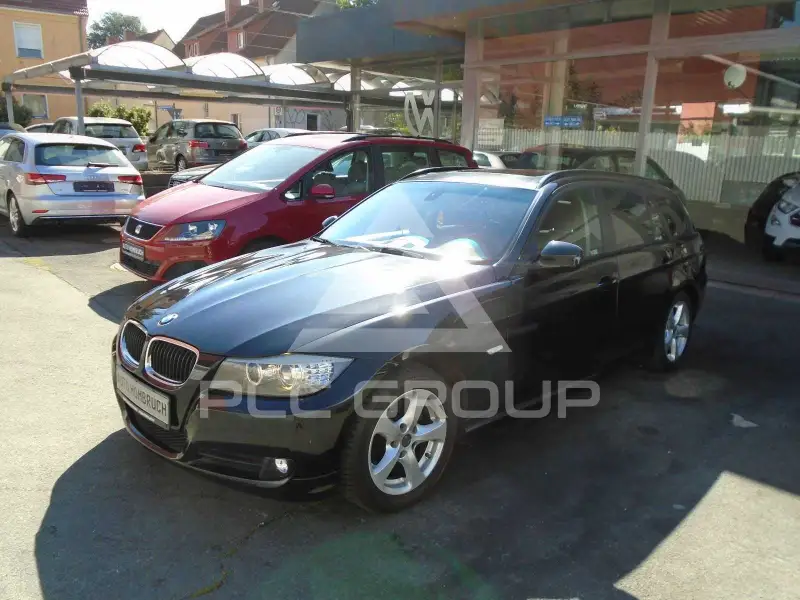 2010 BMW 318