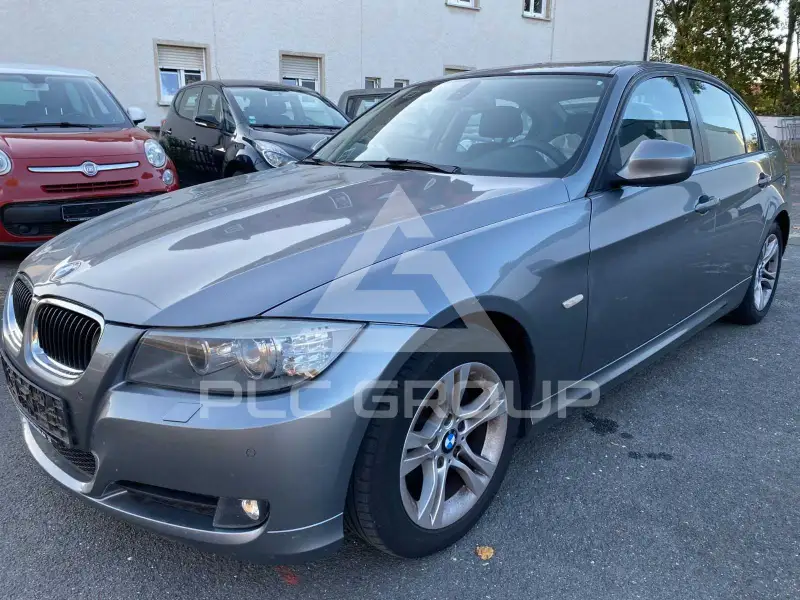 2010 BMW 318
