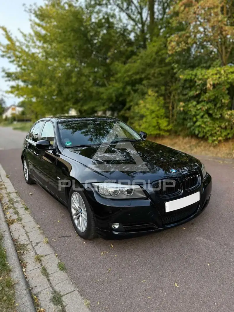 2010 BMW 318