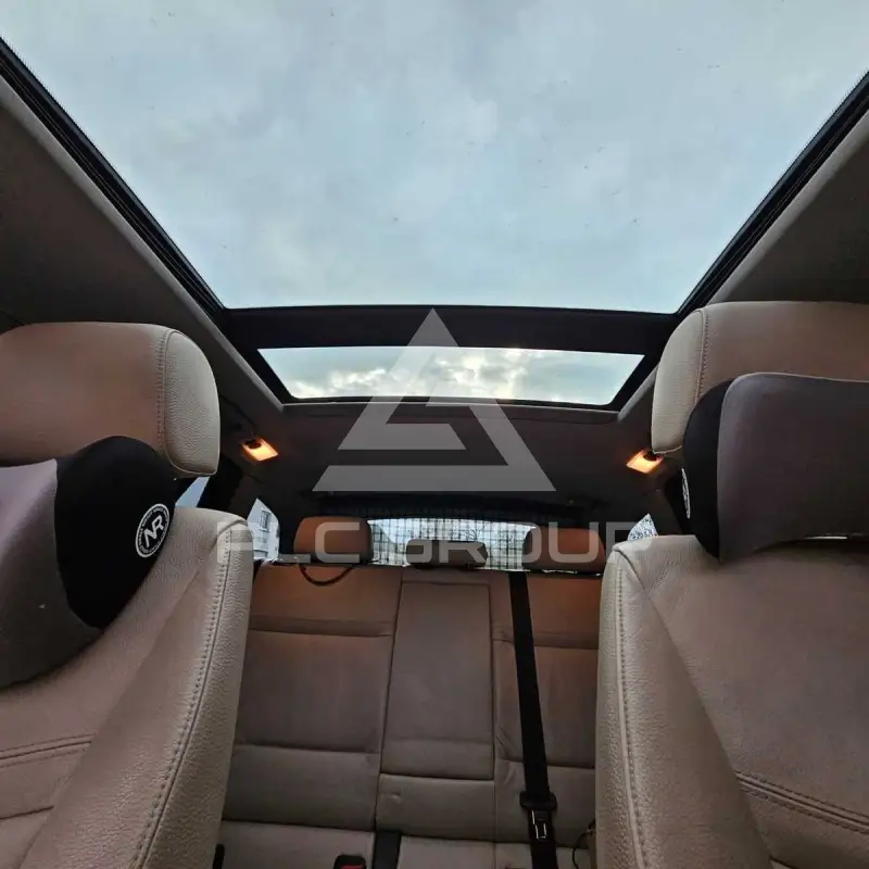 2010 BMW 318