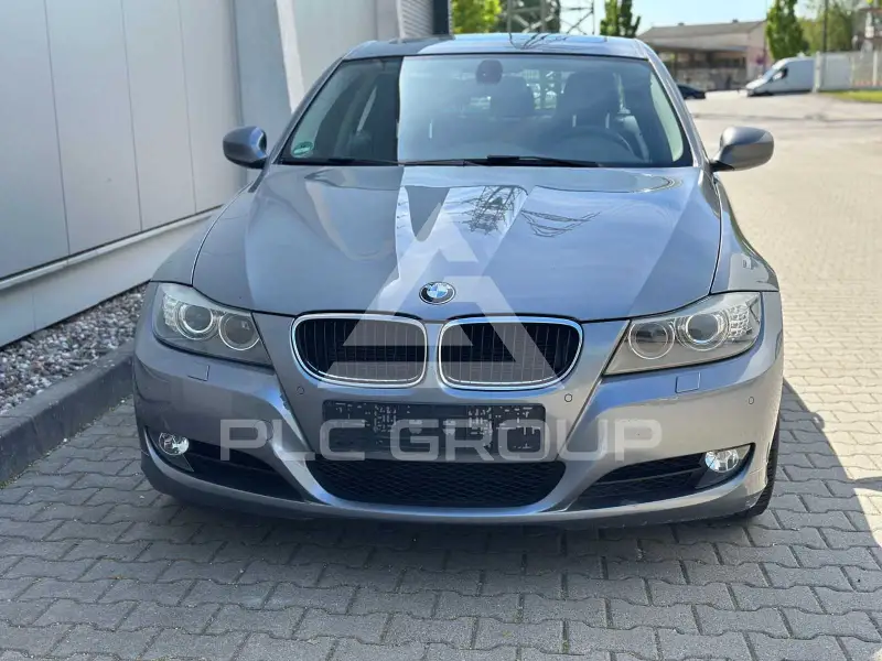 2010 BMW 318