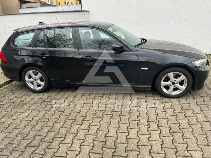 2010 BMW 318