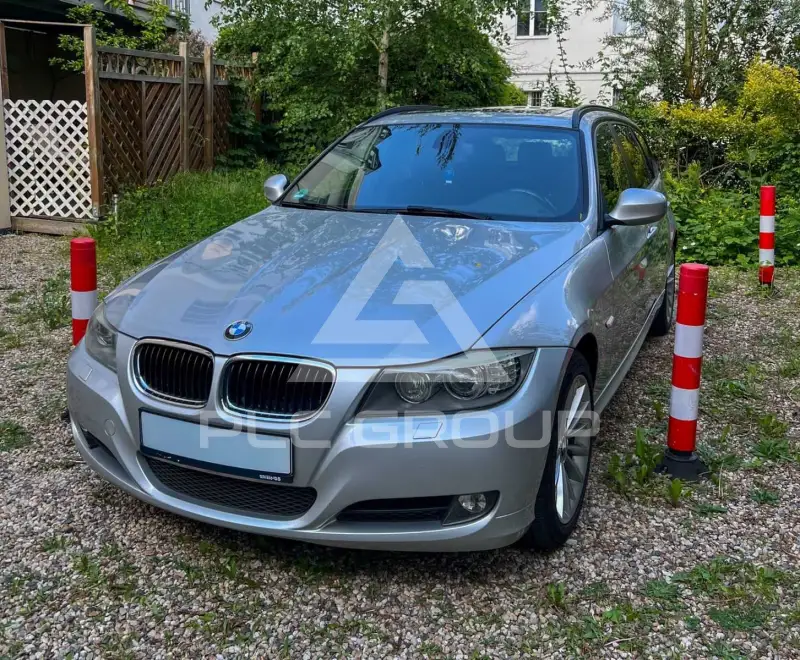 2010 BMW 318
