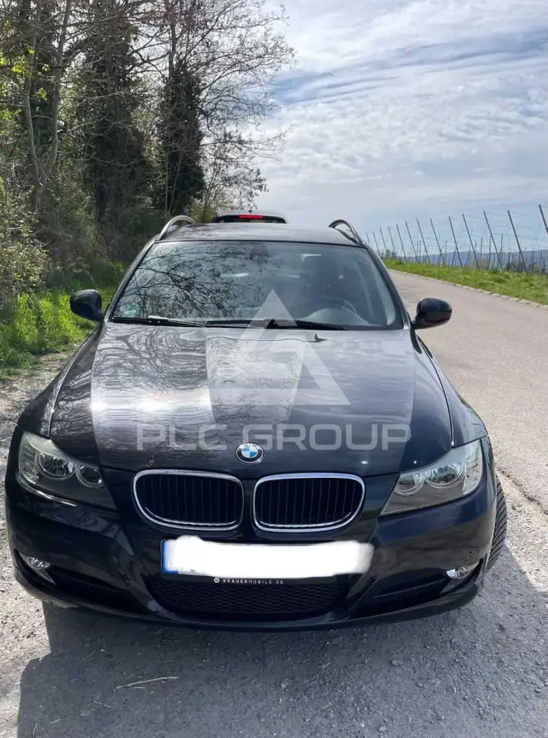 2010 BMW 318