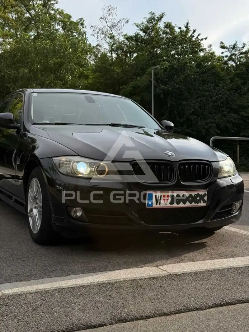 2010 BMW 318