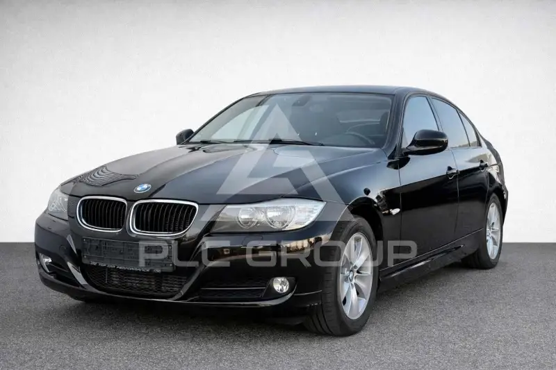 2010 BMW 318