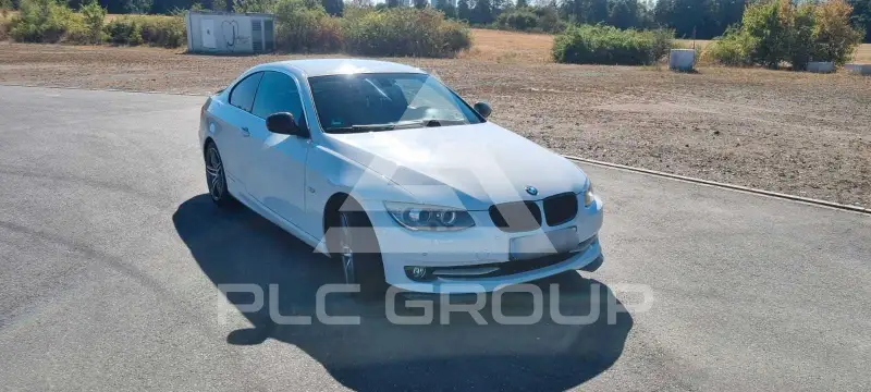 2010 BMW 318