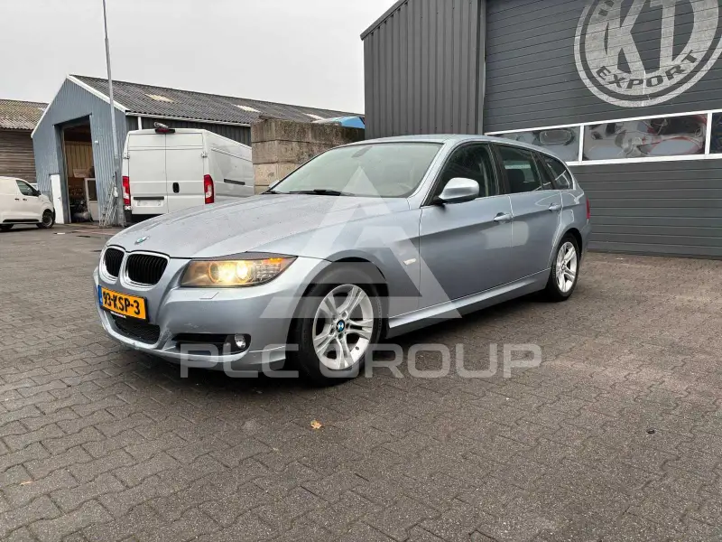 2010 BMW 318