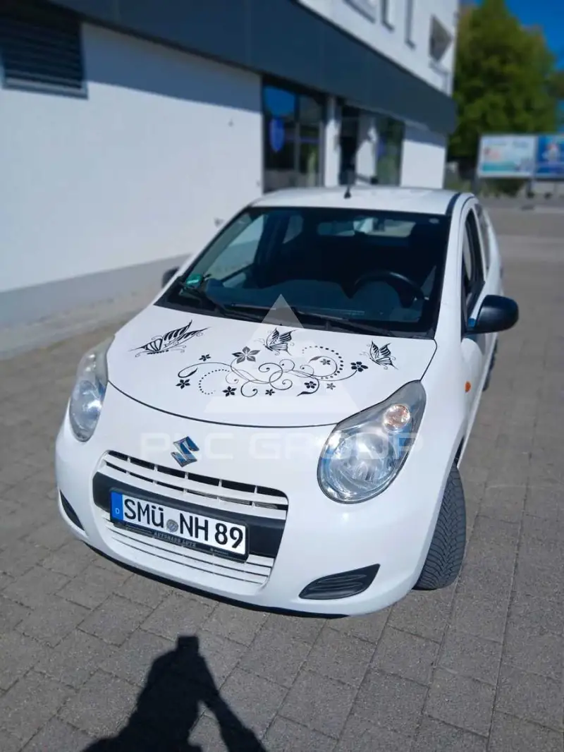 2010 Suzuki Alto